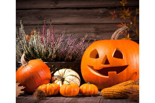 Jak udekorować dom na Halloween? 5 pomysłów na ozdoby halloweenowe DIY